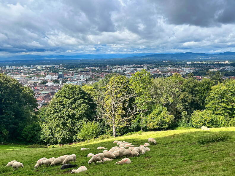 24-09-09 12-14-44 0649